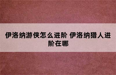 伊洛纳游侠怎么进阶 伊洛纳猎人进阶在哪